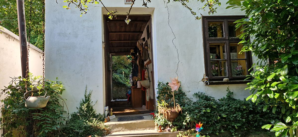 Prodej rodinného domu 87 m², pozemek 539 m² – fotografie 3