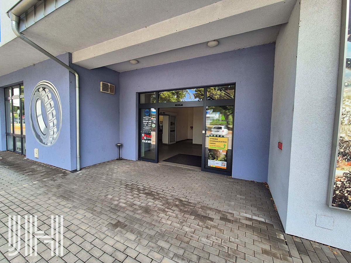 Pronájem obchodního prostoru 300 m² – fotografie 3