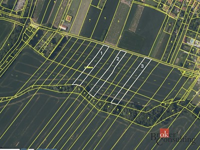 Grundstück zum Kauf, 2.019 m² (2 von 11)