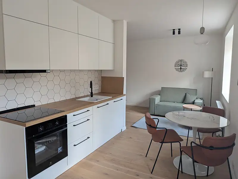 Pronájem bytu 1+kk 30 m², Praha – náhled fotky 2