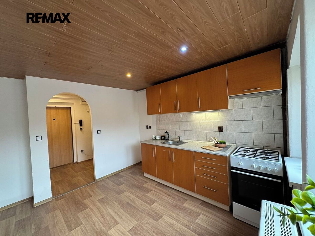 Pronájem bytu 1+kk 45 m² – fotografie 4