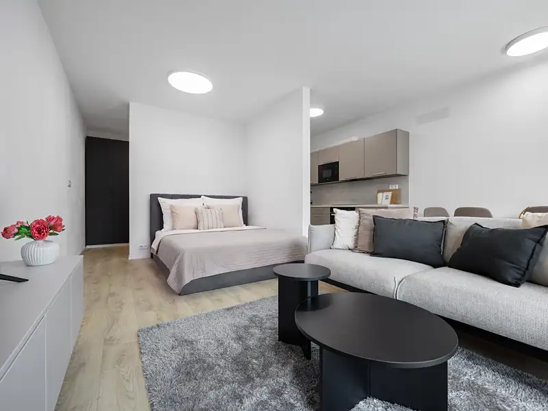 Prodej bytu 1+kk 45 m², Brno – náhled fotky 2