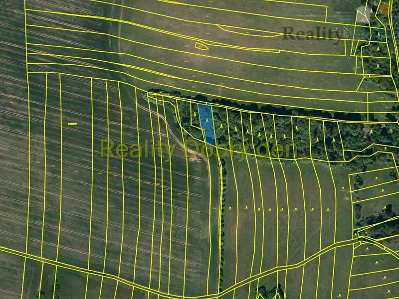 Prodej lesa 1839 m², Hradec nad Moravicí – náhled fotky 2