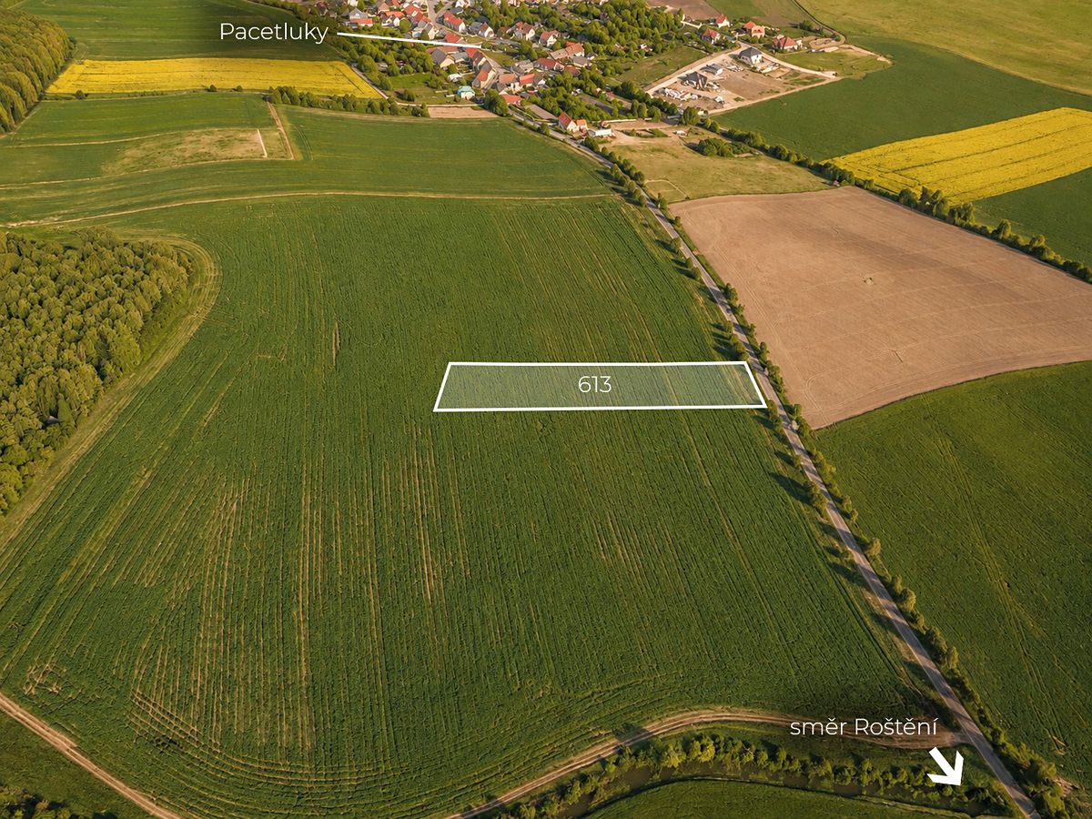 Prodej pole 6457 m²