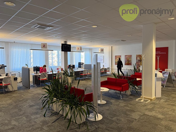 Gewerbefläche zur Miete, 260 m² (2 von 9)