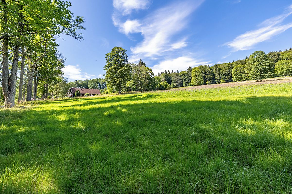 Prodej stavebního pozemku 1816 m² – fotografie 3