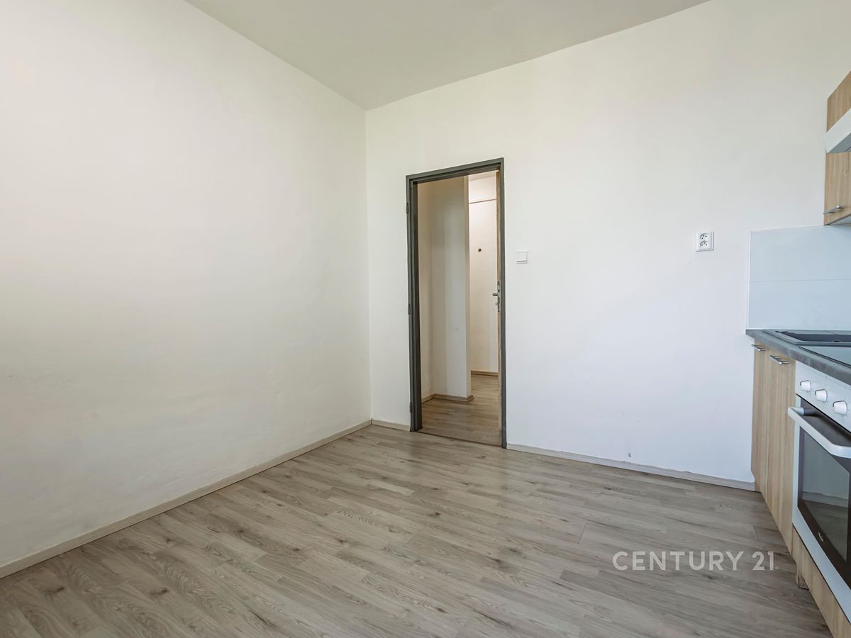 Pronájem bytu 1+1 40 m² – fotografie 3