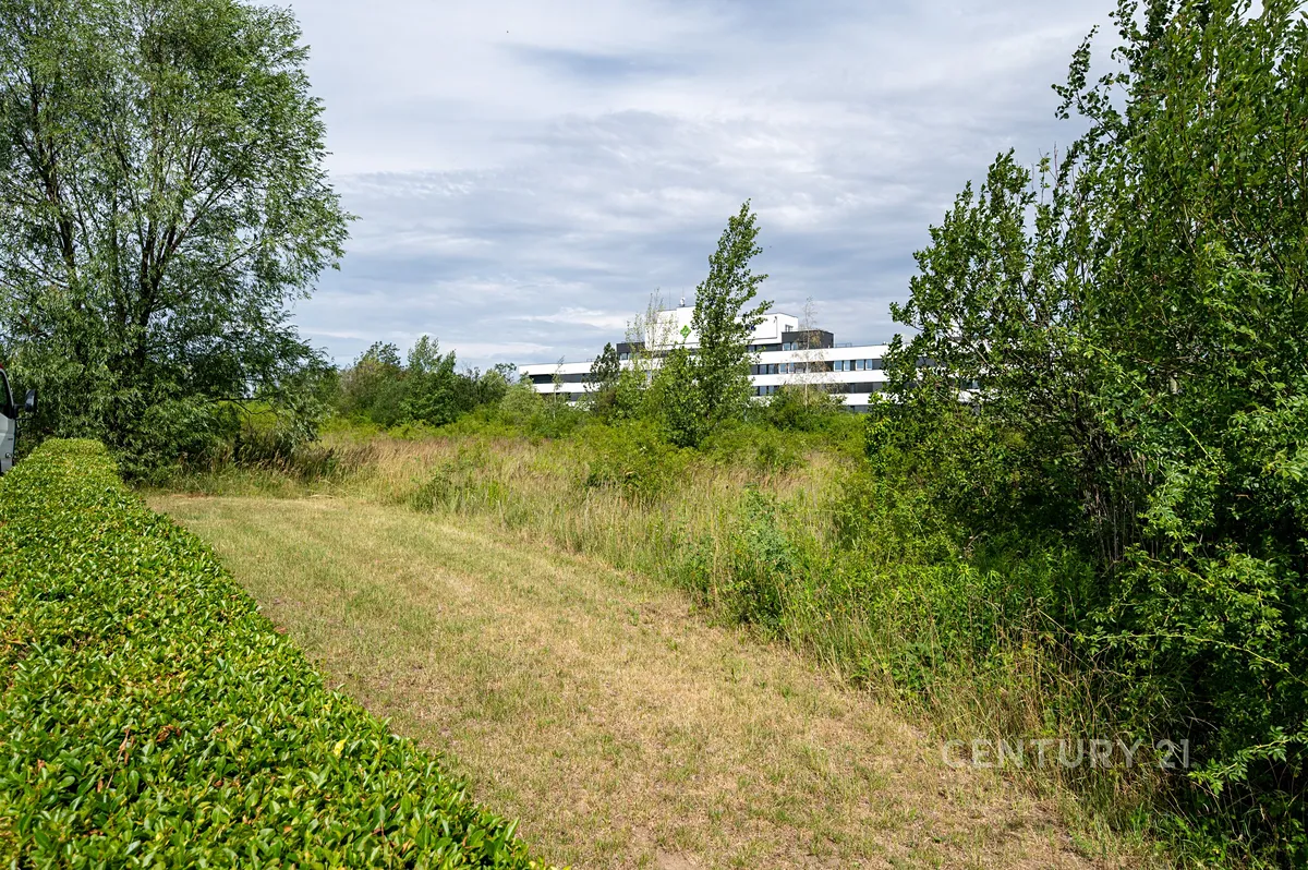 Fotka 12 z 18
