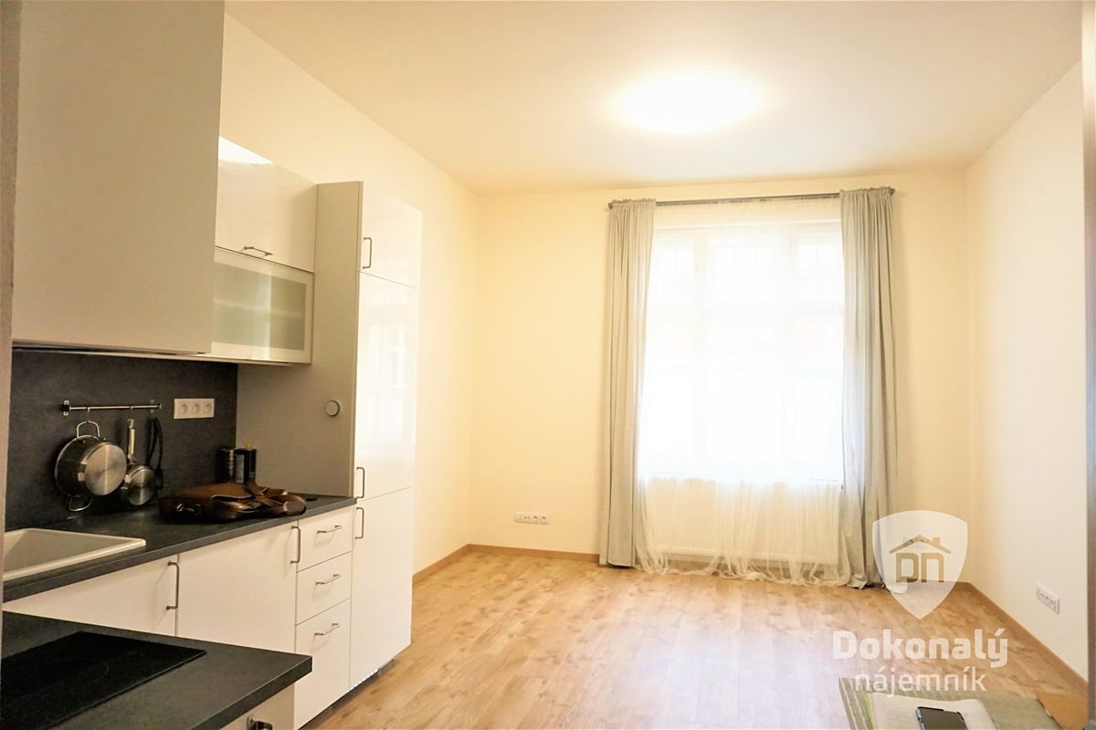 Pronájem bytu 1+kk 29 m² – fotografie 3