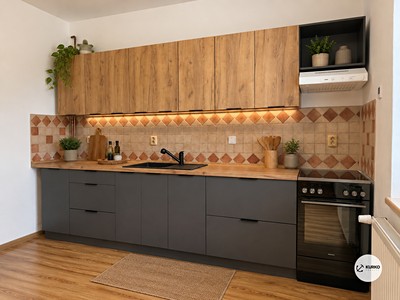 Pronájem bytu 1+1 44 m²