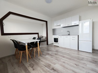 Pronájem bytu 1+1 40 m²