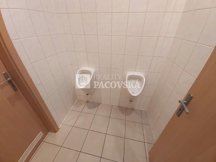 Pronájem komerčního prostoru, 136 m² (18 z 23)