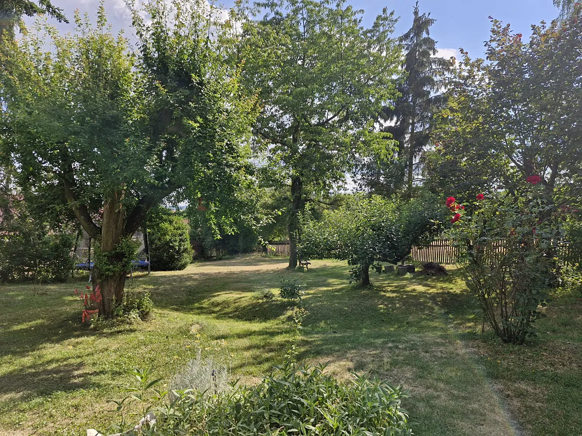 Fotka 15 z 17