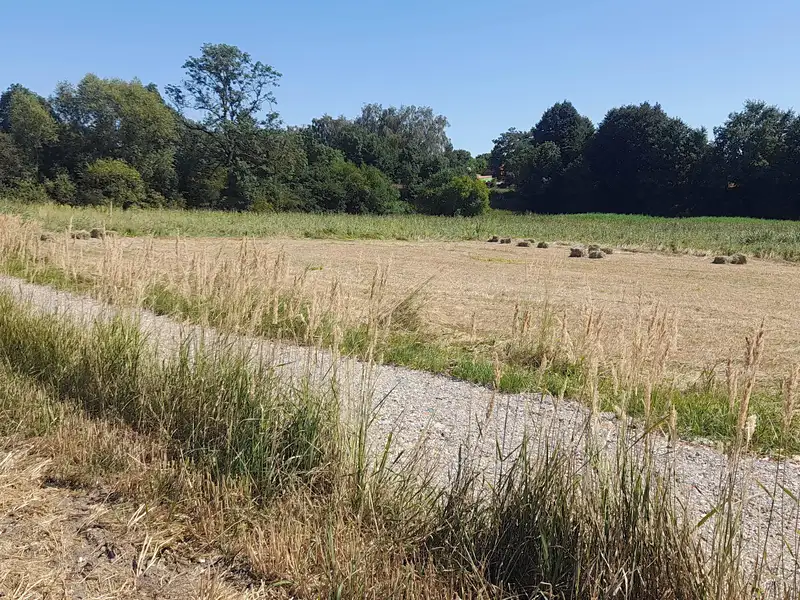 Prodej zahrady 2897 m², Čachovice – náhled fotky 1