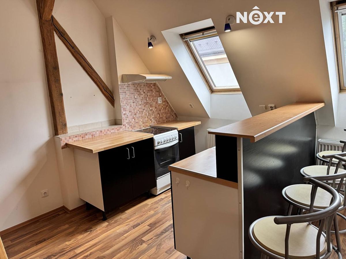 Pronájem bytu 1+kk 48 m²