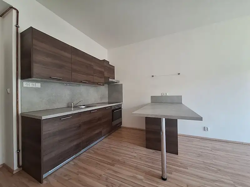 Pronájem bytu 2+kk 47 m², Praha – náhled fotky 2