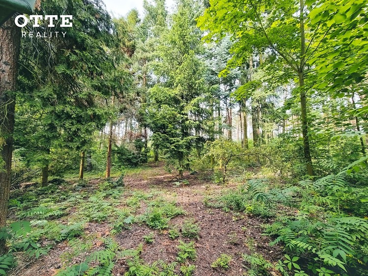Ділянка на продаж, 850 м² (7 з 33)