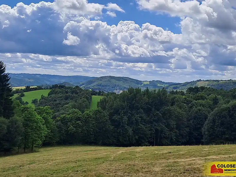 Prodej lesa 20371 m², Dalečín – náhled fotky 3