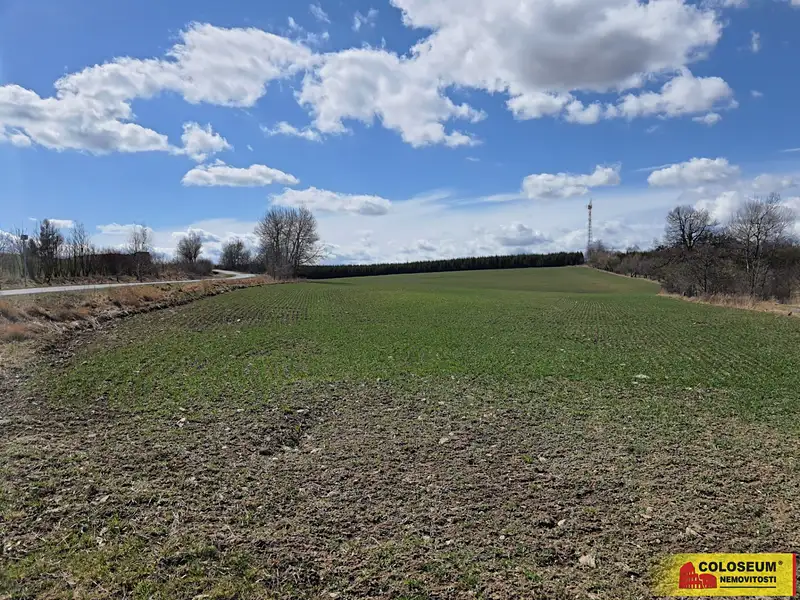 Prodej pole 54259 m², Brodek u Konice – náhled fotky 2
