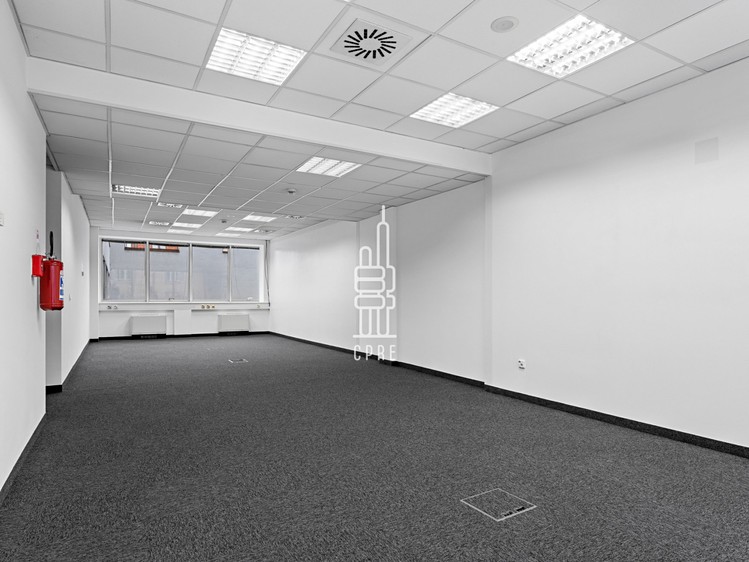 Pronájem komerčního prostoru, 342 m² (4 z 10)