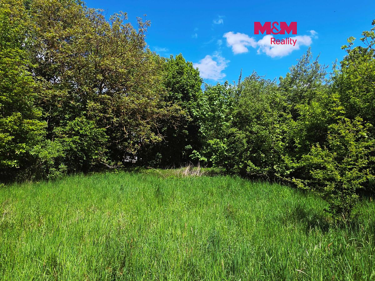 Prodej stavebního pozemku 1093 m², Bor – fotka 1 z 3