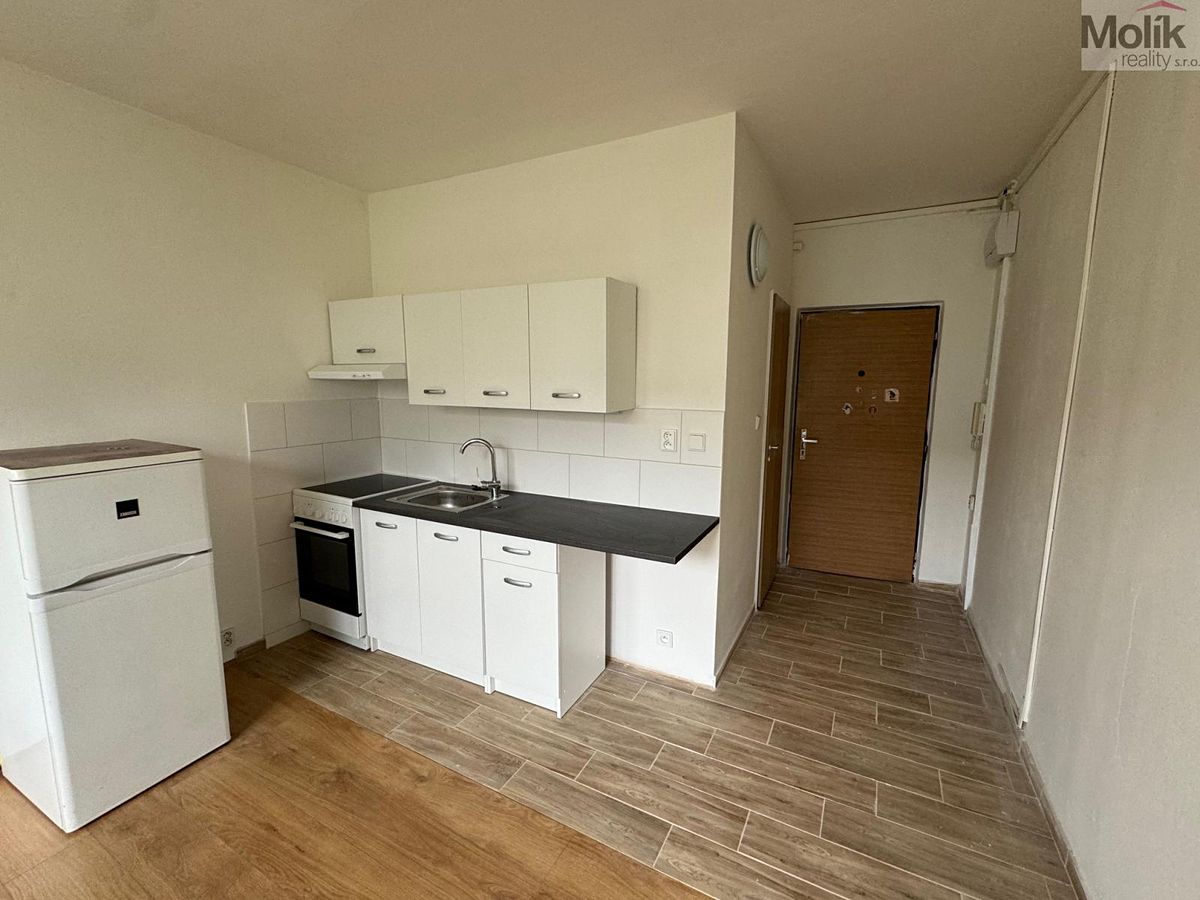 Pronájem bytu 1+1 35 m²
