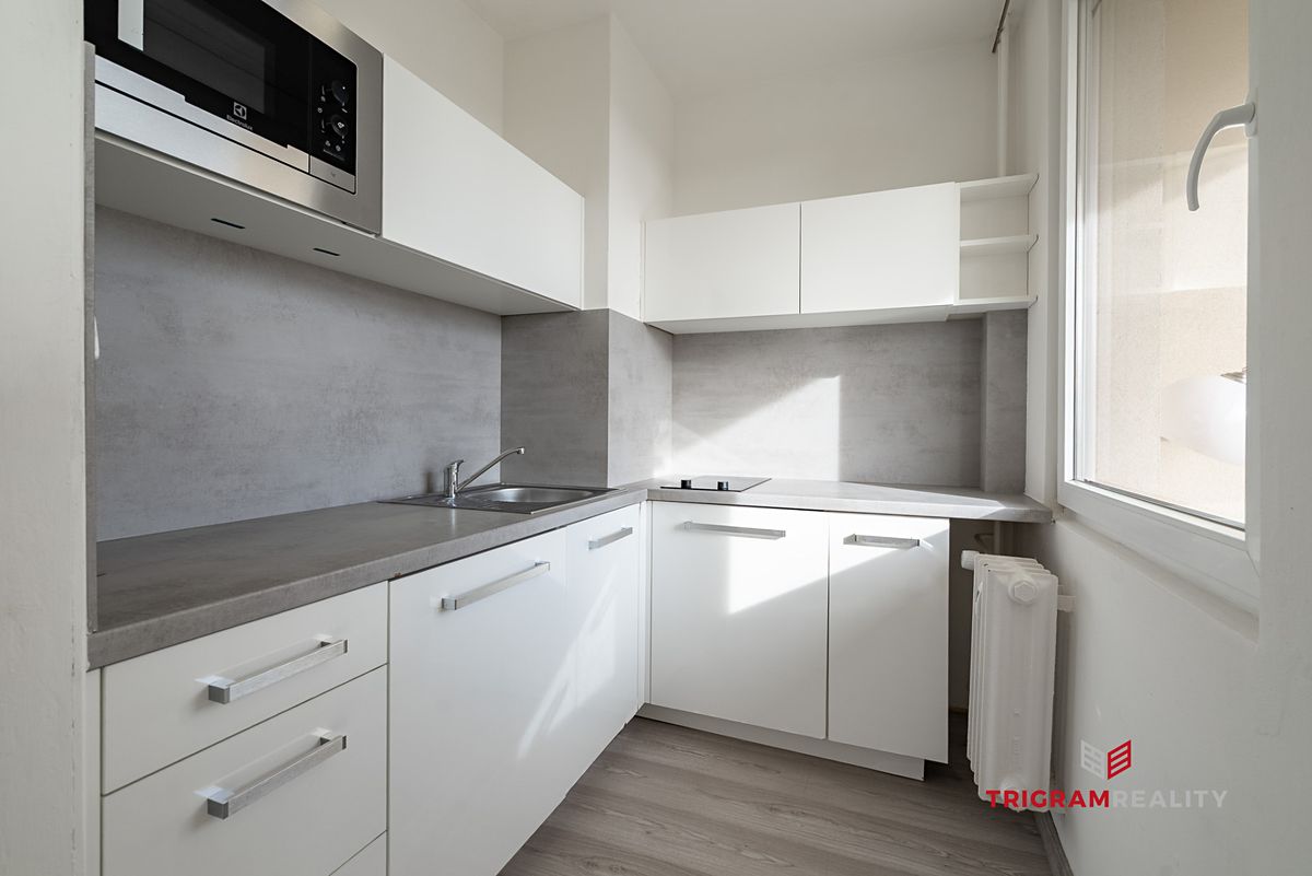 Pronájem bytu 1+kk 37 m²