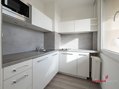 Pronájem bytu 1+kk 37 m²