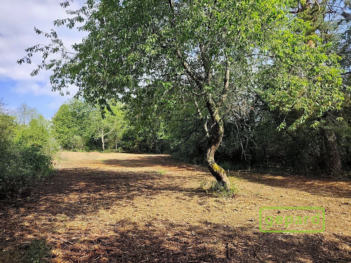 Prodej stavebního pozemku 14307 m² – fotografie 2