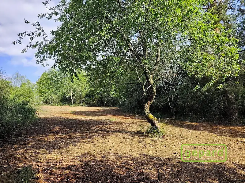 Prodej stavebního pozemku 14307 m², Světlík – náhled fotky 2