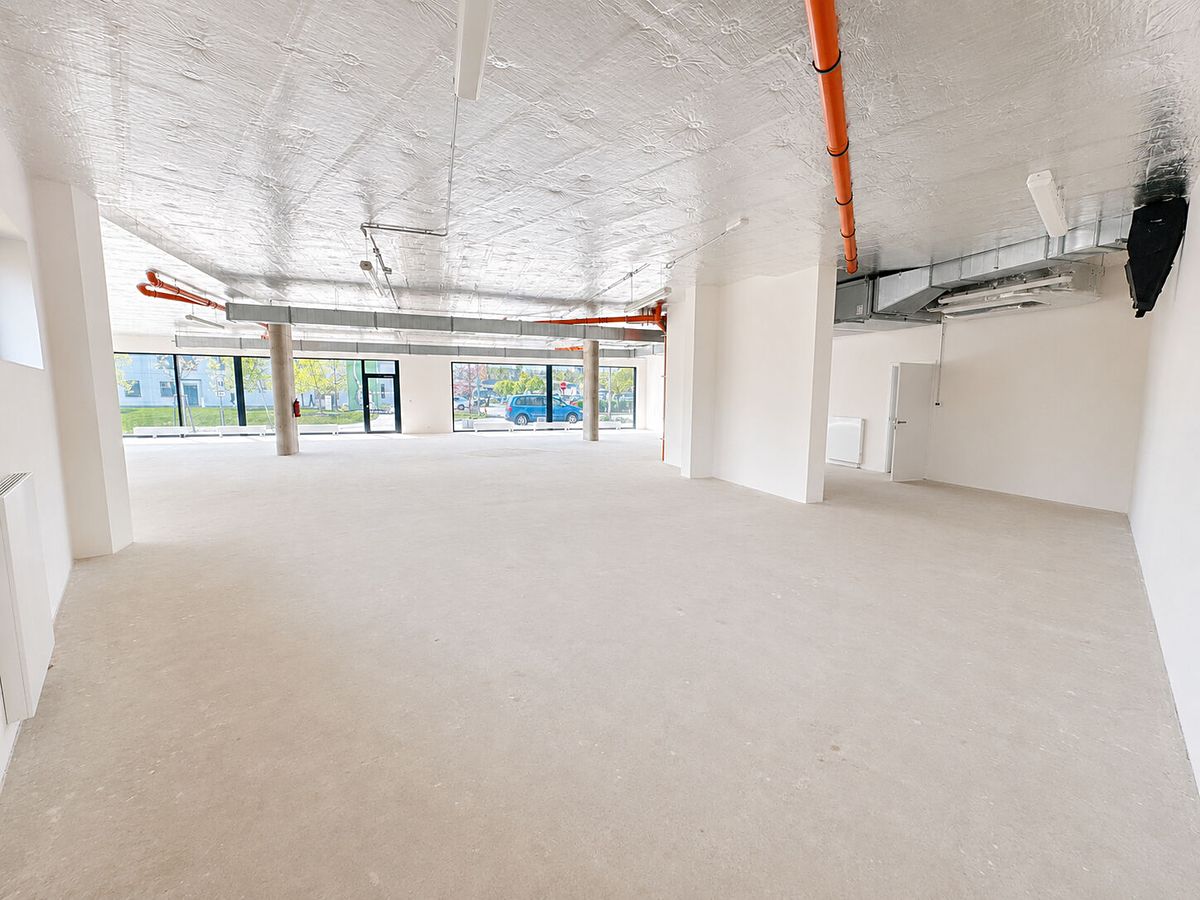 Prodej obchodního prostoru 540 m² – fotografie 4