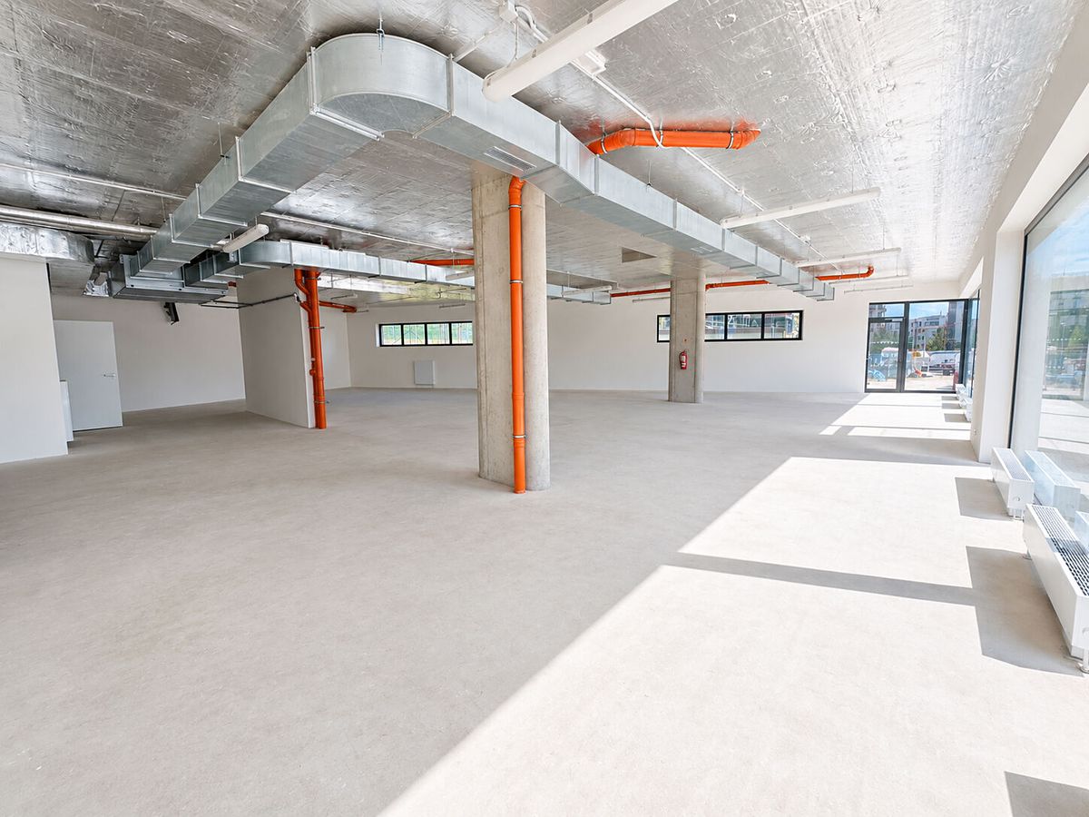 Prodej obchodního prostoru 540 m² – fotografie 3