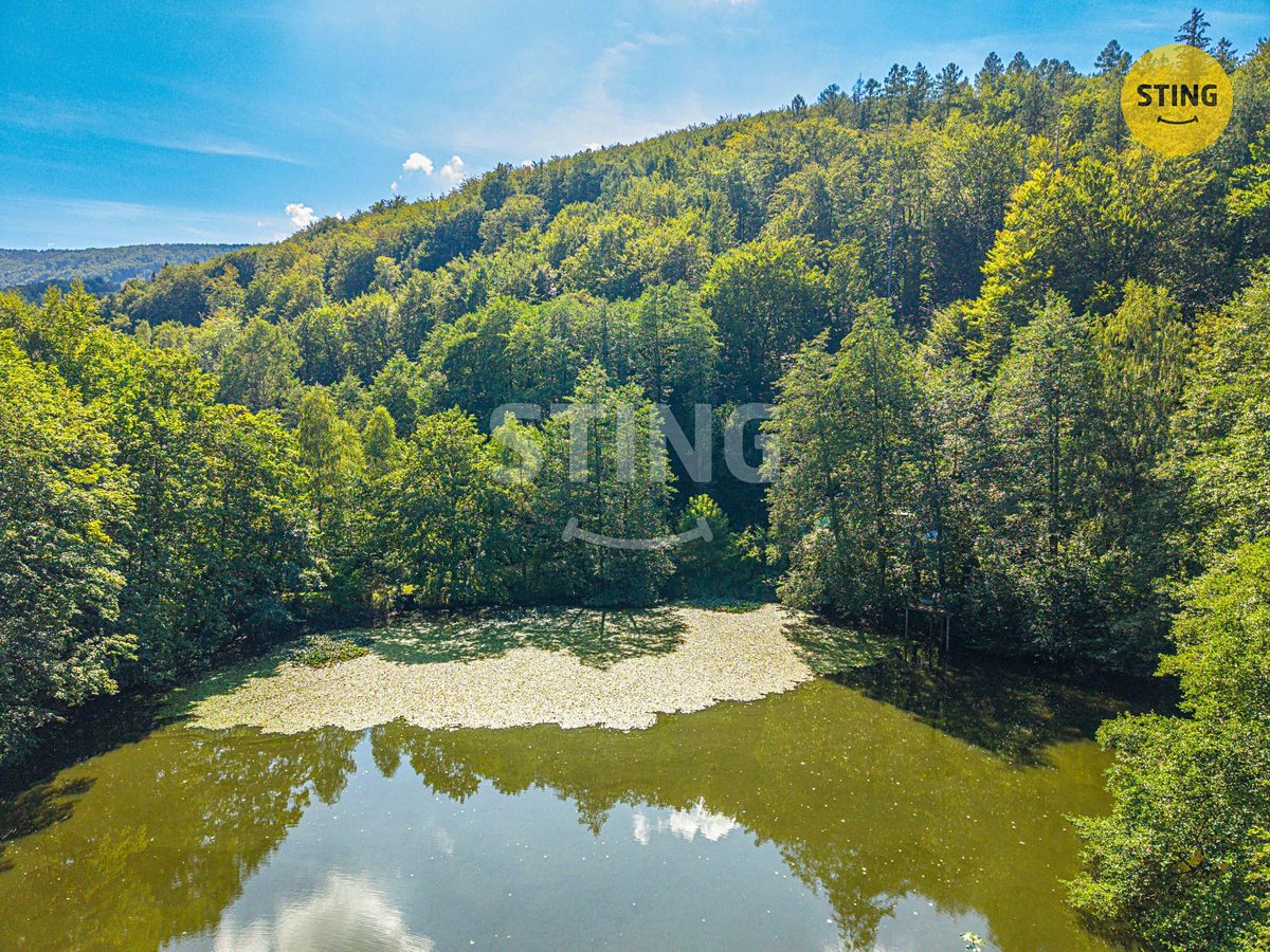 Prodej rodinného domu 146 m², pozemek 9820 m² – fotografie 4