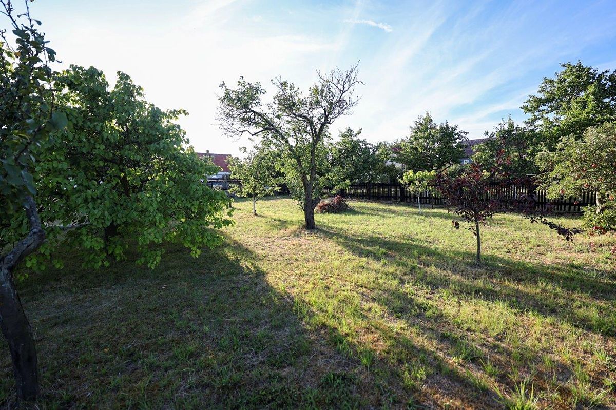 Prodej zahrady 835 m² – fotografie 2