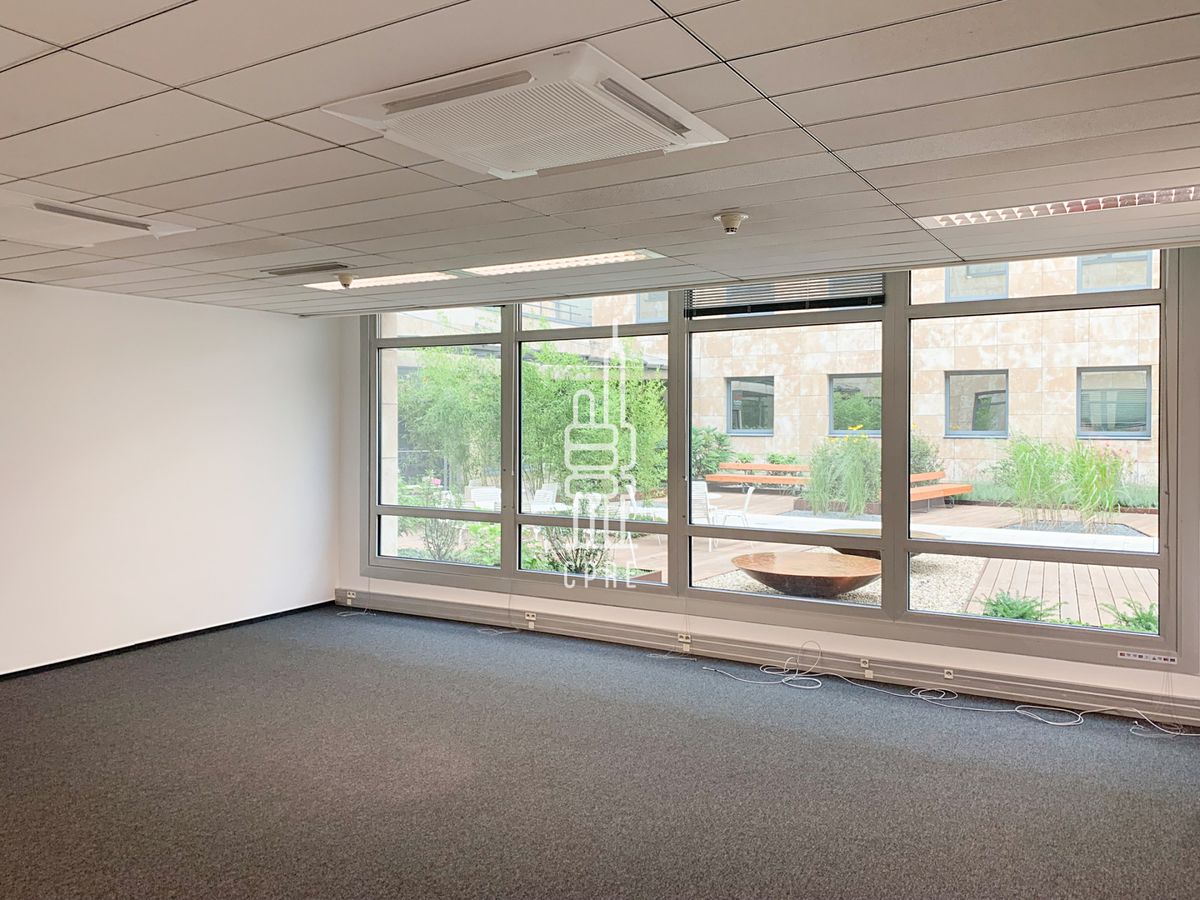 Pronájem kanceláře 135 m² – fotografie 4
