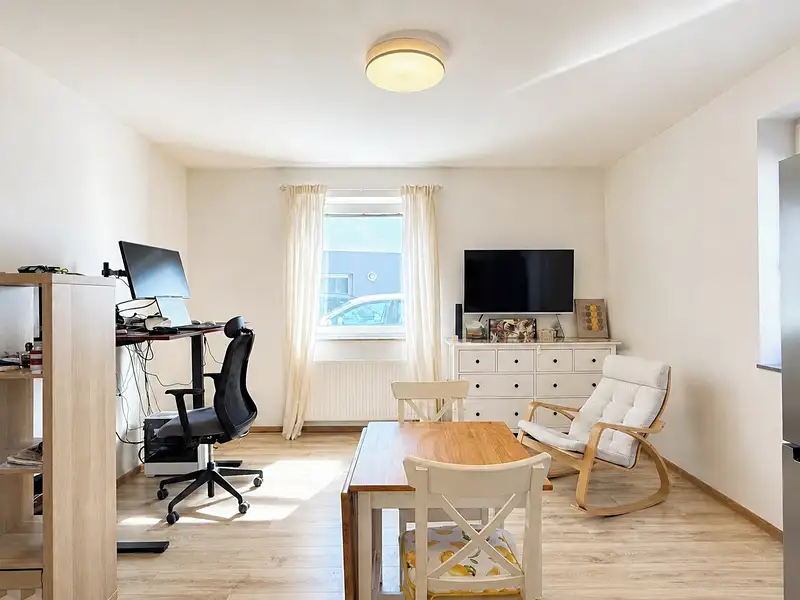 Prodej bytu 3+kk 60 m², Břežany II – náhled fotky 1