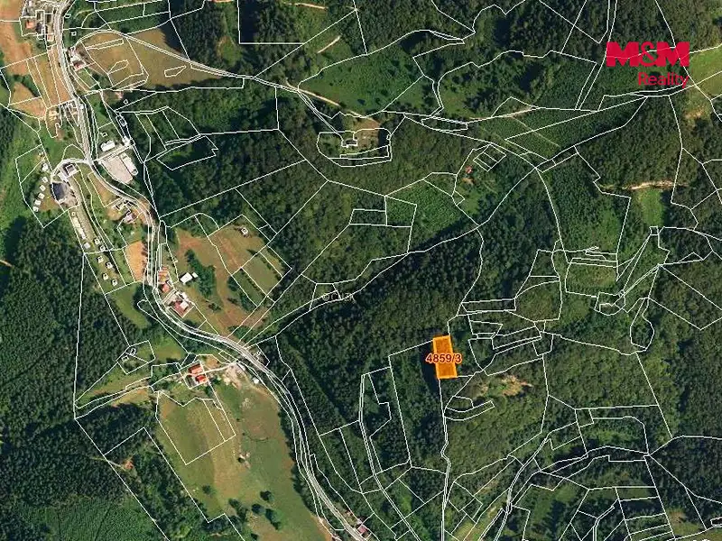 Prodej lesa 5001 m², Halenkov – náhled fotky 3