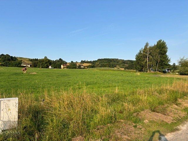 Prodej rodinného domu 181 m², pozemek 1117 m² – fotografie 3