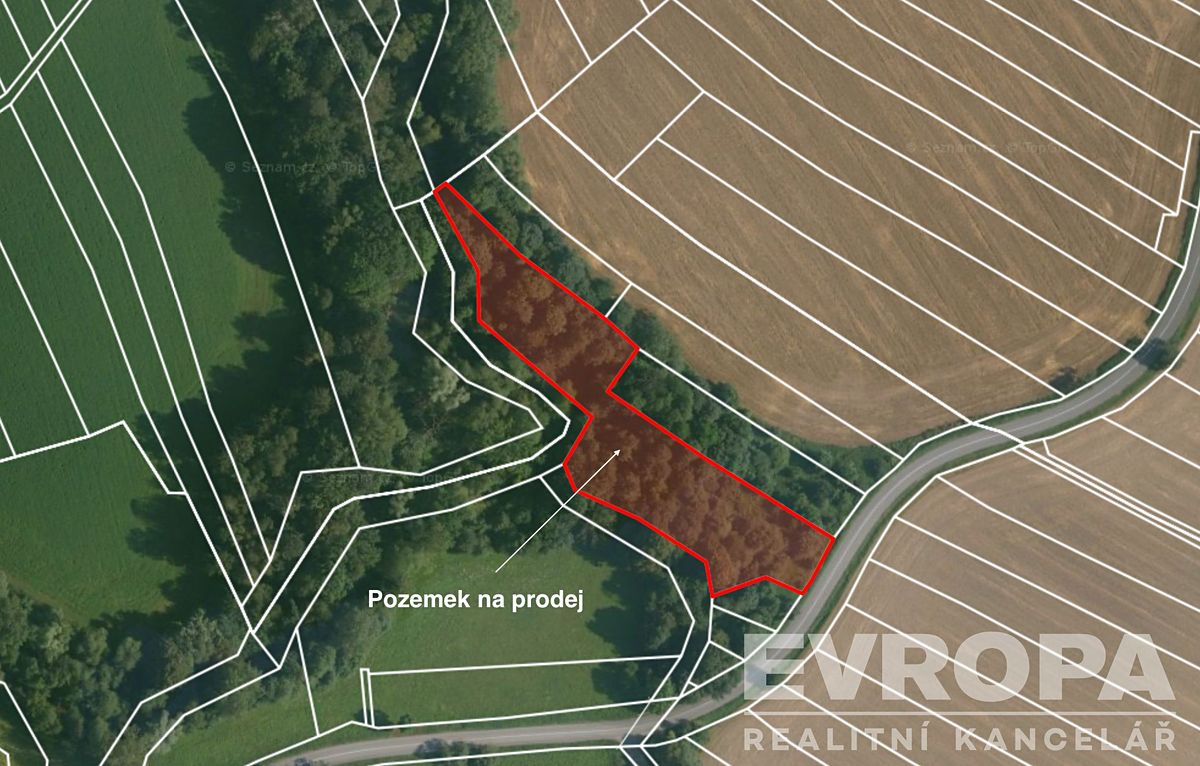 Prodej pole 3956 m² – fotografie 2