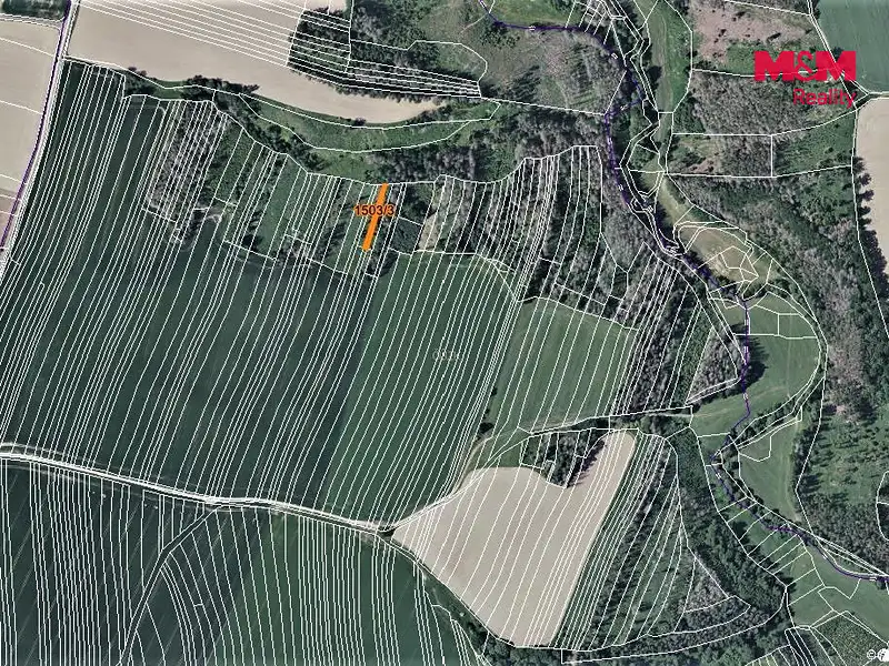 Prodej lesa 372 m², Trhový Štěpánov – náhled fotky 3