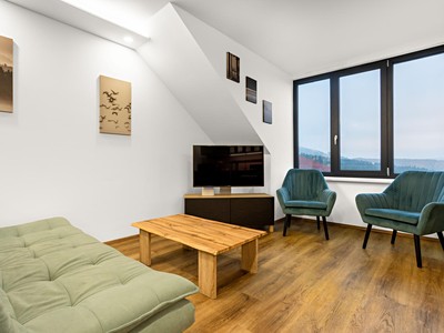 Pronájem bytu 1+kk 45 m²