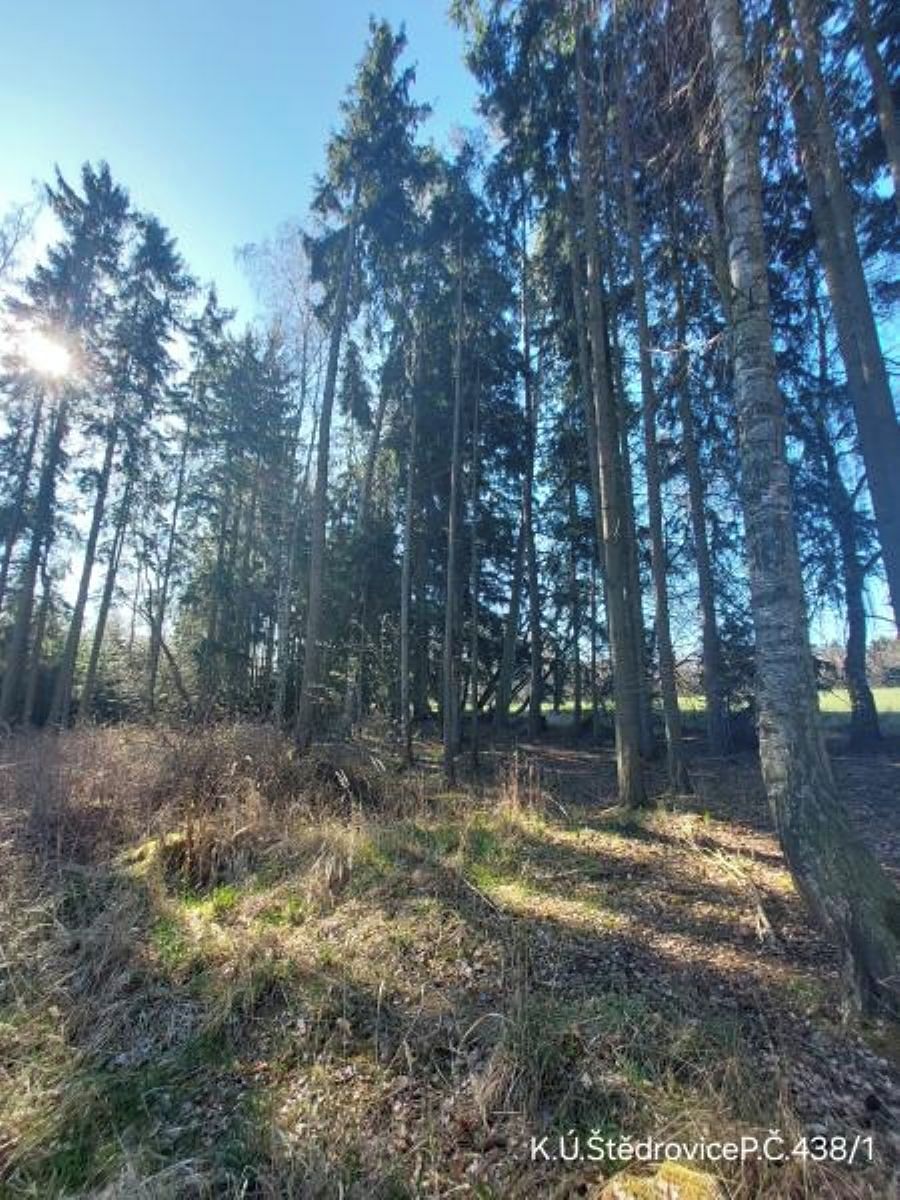 Prodej lesa 2742 m²