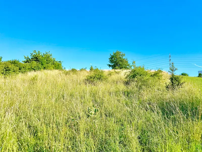 Prodej stavebního pozemku 1516 m², Sendražice – náhled fotky 2