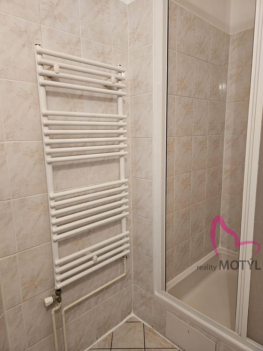 Pronájem bytu 1+1 32 m² – fotografie 5
