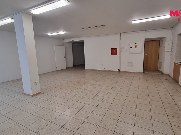 Комерційне приміщення в оренду, 230 м² (10 з 19)
