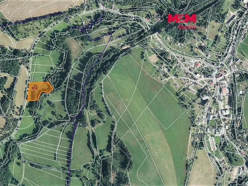Prodej louky 7104 m², Bernartice – náhled fotky 1