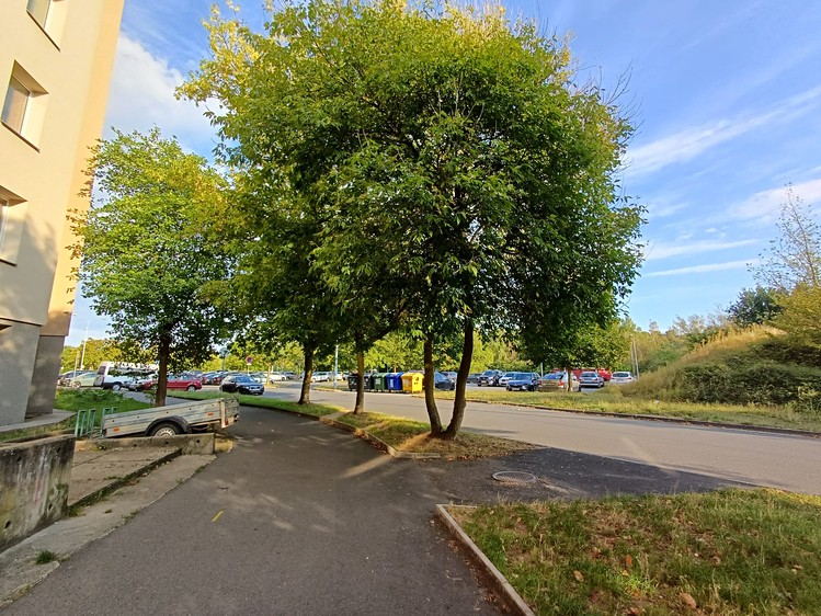 Prodej bytu 3+1, 78 m² (10 z 22)