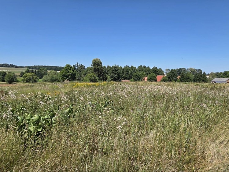 Grundstück zum Kauf, 1.888 m² (4 von 10)