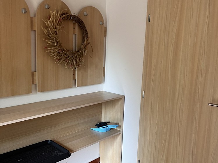Pronájem bytu room, 22 m² (3 z 8)