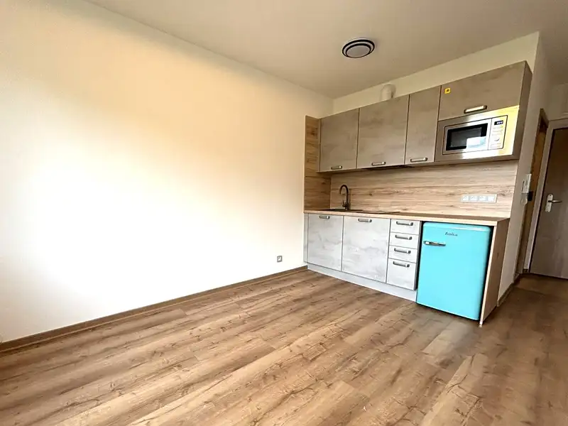Pronájem bytu 1+kk 20 m², Dolní Bělá – náhled fotky 1